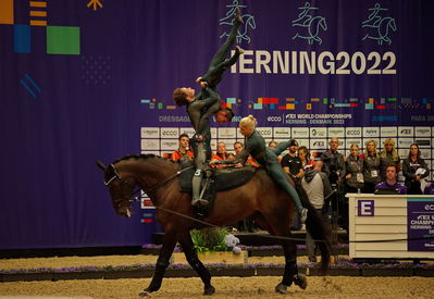 voltering
fei world squad championship final
Keywords: pt;denmark;danmark