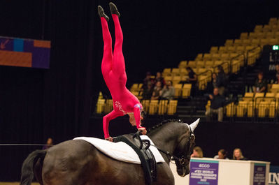 fei world female individual vaulting championship
Keywords: Klintholms Ramstein;Sheena Bendixen;cp