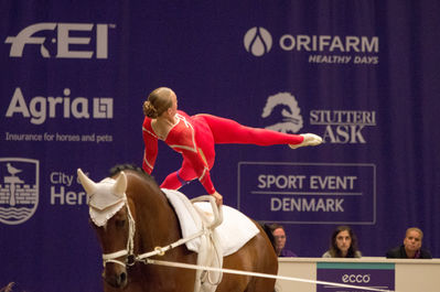 fei world female individual vaulting championship
Keywords: Iben Dines Pedersen;Tophoejs Geleto Lieto;cp