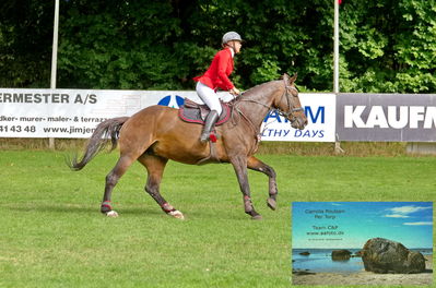 Jumping
csi1p og csi1
Keywords: pt;allerupgaards fantastique;caroline larsen