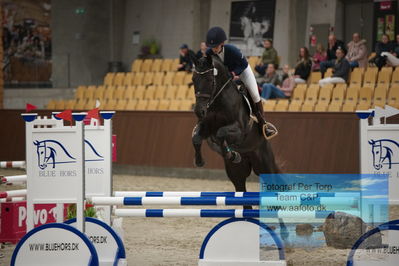Blue Hors
1 kvl spring
Keywords: gyrithe catharina heireth levorsen;vivcky by lipas
