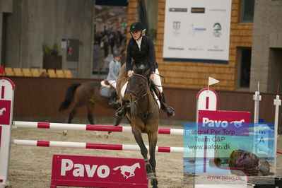 Blue Hors
1 kvl spring
Keywords: miss sina;mille bisgaard-maarup