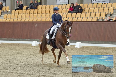 Blue Hors
dressage
Keywords: karla;celinde svande