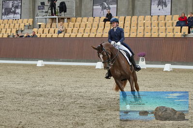 Blue Hors
dressage
Keywords: karla;celinde svande