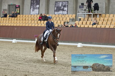 Blue Hors
dressage
Keywords: karla;celinde svande