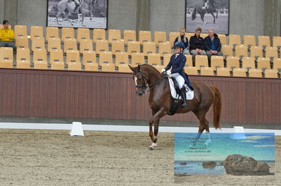 Blue Hors
dressage
Keywords: karla;celinde svande