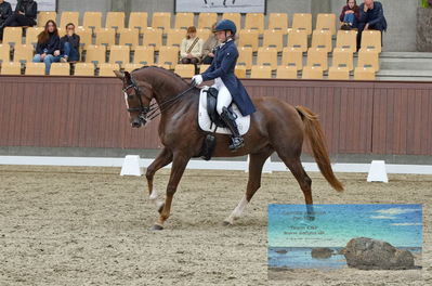 Blue Hors
dressage
Keywords: karla;celinde svande