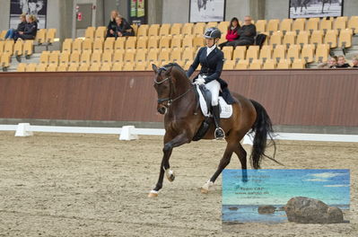 Blue Hors
dressage
Keywords: cecilie lyndrup;stenagers faramir dwb