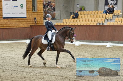 Blue Hors
dressage
Keywords: cecilie lyndrup;stenagers faramir dwb