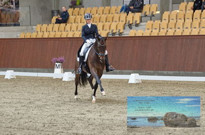 Blue Hors
dressage
Keywords: cecilie lyndrup;stenagers faramir dwb