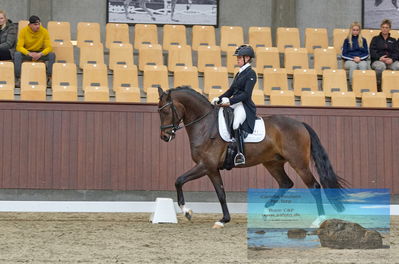 Blue Hors
dressage
Keywords: cecilie lyndrup;stenagers faramir dwb