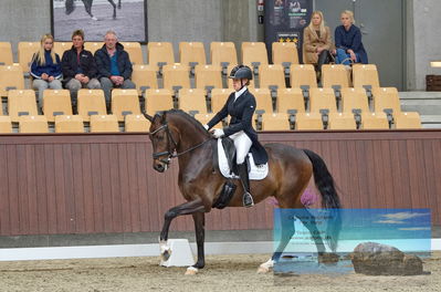 Blue Hors
dressage
Keywords: cecilie lyndrup;stenagers faramir dwb