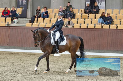 Blue Hors
dressage
Keywords: cecilie lyndrup;stenagers faramir dwb