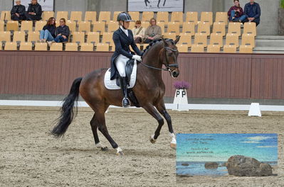 Blue Hors
dressage
Keywords: cecilie lyndrup;stenagers faramir dwb