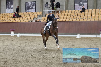 Blue Hors
dressage
Keywords: cecilie lyndrup;stenagers faramir dwb