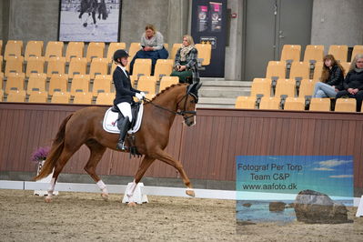 Blue Hors
dressage 5 års
Keywords: kathrine springborg;springborgs abiza