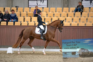 Blue Hors
dressage 5 års
Keywords: kathrine springborg;springborgs abiza