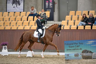 Blue Hors
dressage 5 års
Keywords: kathrine springborg;springborgs abiza