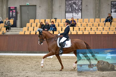 Blue Hors
dressage 5 års
Keywords: kathrine springborg;springborgs abiza