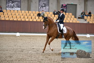 Blue Hors
dressage 5 års
Keywords: kathrine springborg;springborgs abiza