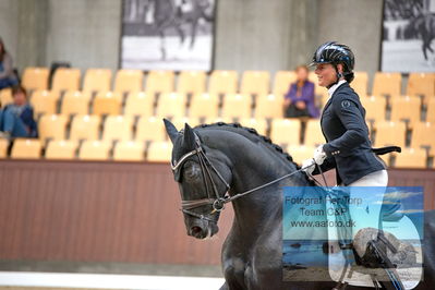 Blue Hors
dressage
Keywords: susanne barnow;aatoftens dancing memory