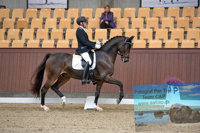 Blue Hors
dressage
Keywords: jan moeller christensen;hesselhoej dream