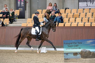 Blue Hors
dressage
Keywords: jan moeller christensen;hesselhoej dream