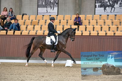 Blue Hors
dressage
Keywords: jan moeller christensen;hesselhoej dream