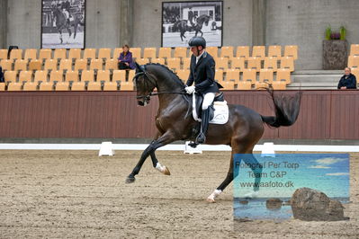 Blue Hors
dressage
Keywords: jan moeller christensen;hesselhoej dream