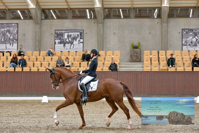 Blue Hors
dressage
Keywords: katrine springborg;springborgs abiza