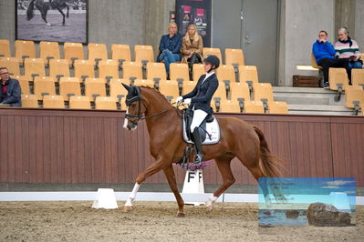 Blue Hors
dressage
Keywords: katrine springborg;springborgs abiza