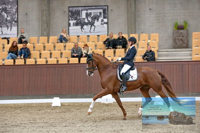 Blue Hors
dressage
Keywords: katrine springborg;springborgs abiza