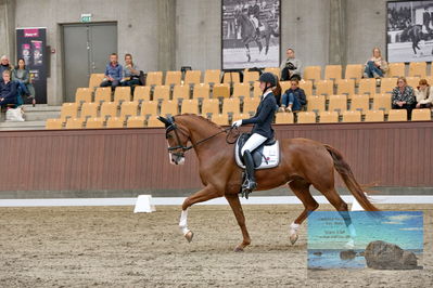 Blue Hors
dressage
Keywords: katrine springborg;springborgs abiza