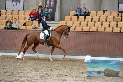 Blue Hors
dressage
Keywords: katrine springborg;springborgs abiza