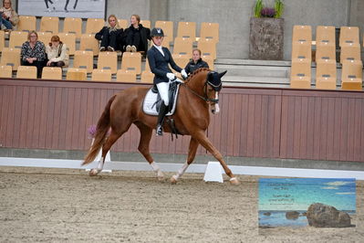 Blue Hors
dressage
Keywords: katrine springborg;springborgs abiza