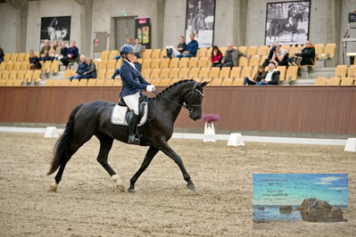 Blue Hors
dressage
Keywords: mette svare ehlers;de st malou e