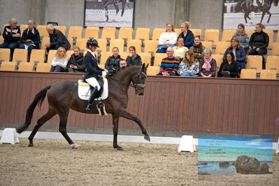 Blue Hors
4 års finale dressur
Keywords: mette sejbjerg jensen;straight horse floriana