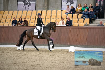 Blue Hors
4 års finale dressur
