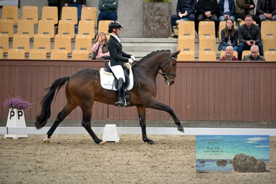 Blue Hors
4 års finale dressur
Keywords: pia thomsen;broadmoars fernando