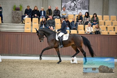 Blue Hors
4 års finale dressur
