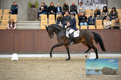 Blue Hors
4 års finale dressur
Keywords: maria anita andersen;rosee de fontaine