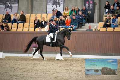 Blue Hors
4 års finale dressur
Keywords: anne-marie hosbond;fabulosa