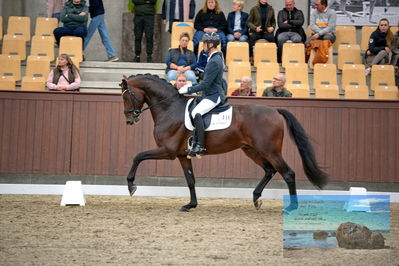 Blue Hors
4 års finale dressur
Keywords: eric guardia marrtinez;for real