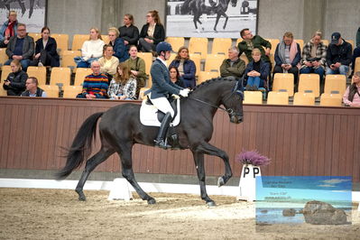 Blue Hors
4 års finale dressur
