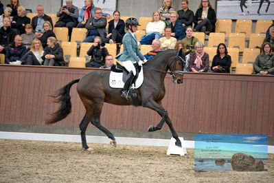 Blue Hors
4 års finale dressur
Keywords: anna zibrandtsen;remember me dwb