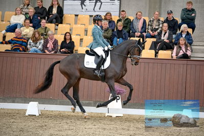 Blue Hors
4 års finale dressur
Keywords: anna zibrandtsen;remember me dwb