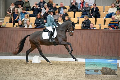 Blue Hors
4 års finale dressur
Keywords: anna zibrandtsen;remember me dwb