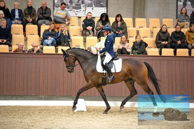 Blue Hors
4 års finale dressur
Keywords: anne troensengård;kastaniegaardeens philina