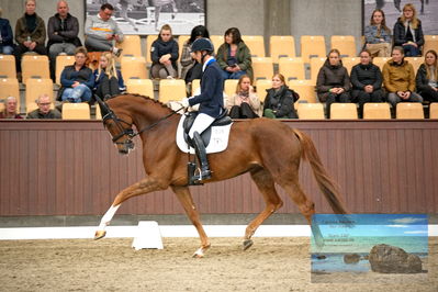 Blue Hors
4 års finale dressur
Keywords: christian tudela ruiz;blue hors bonsai