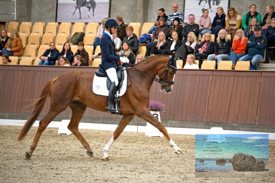 Blue Hors
4 års finale dressur
Keywords: christian tudela ruiz;blue hors bonsai